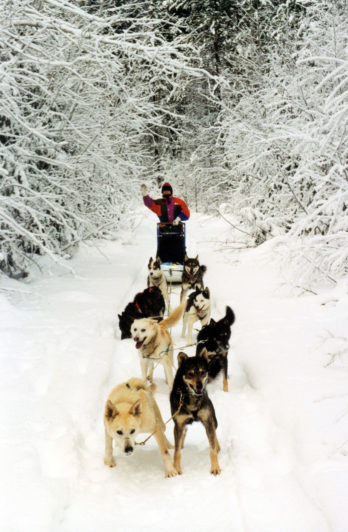 Helmcken Falls Lodge Cabin Rooms And Rv Park เคลียร์วอเตอร์ ภายนอก รูปภาพ